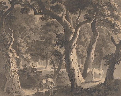 Wychwood Forest, 1806, Hugh William Williams