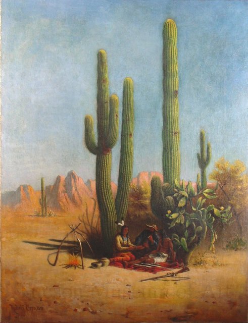 Giant Cacti in Southern Arizona, 1882, Rudolf Cronau