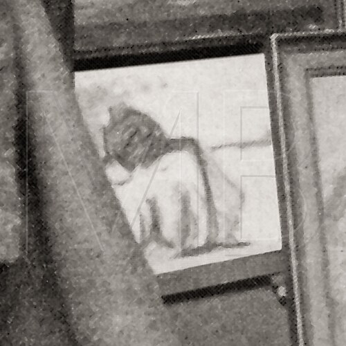 Rear View of a Female Nude, 1907, Max Beckmann