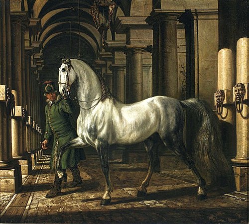 Groom leading a horse, 1773, Bernardo Bellotto