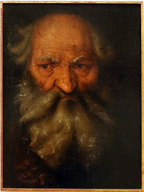 Head of an Old Man, 1516, Hans Baldung