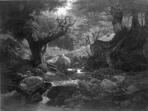 Forest with brook, 1830, Johan Christian Dahl