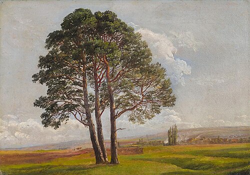 Landschaft ausserhalb Dresdens, 1838, Johan Christian Dahl