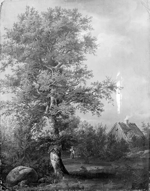 Study of a Beech at Engelholm in Zealand, 1814, Johan Christian Dahl