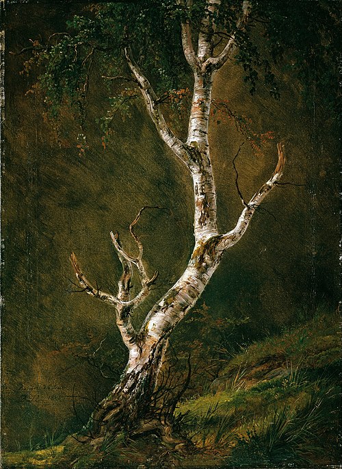 Study of a Birch Tree, 1826, Johan Christian Dahl