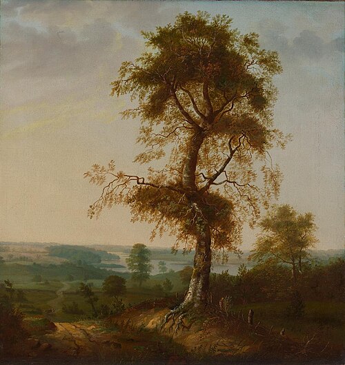 Beech Tree in Autumn, 1814, Johan Christian Dahl