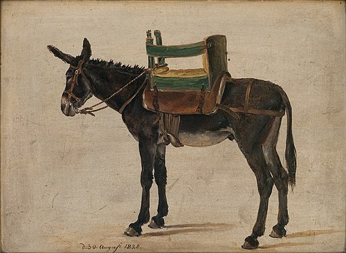 Donkey with a Chair-saddle, 1820, Johan Christian Dahl