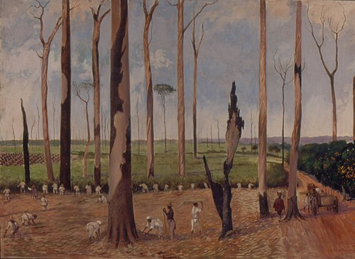 Fazenda Cachoeira - Canavial, 1840, 1920, Alfredo Norfini