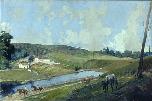 Fazenda Soledade - Campinas, 1830, 1920, Alfredo Norfini