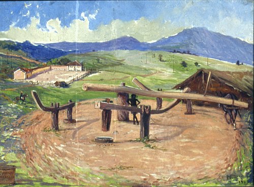 Monjolo de Rabo em Campinas, 1922, Alfredo Norfini