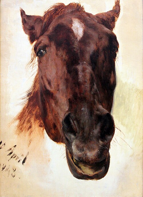 Horse Study, 1848, Adolph von Menzel