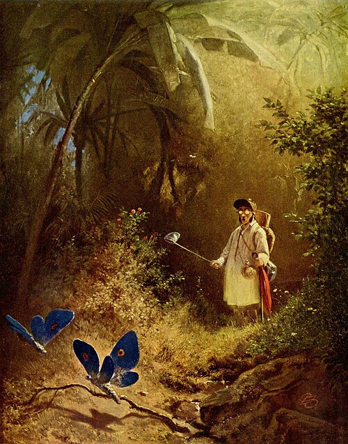 Le Chasseur de papillon, 1840, Carl Spitzweg