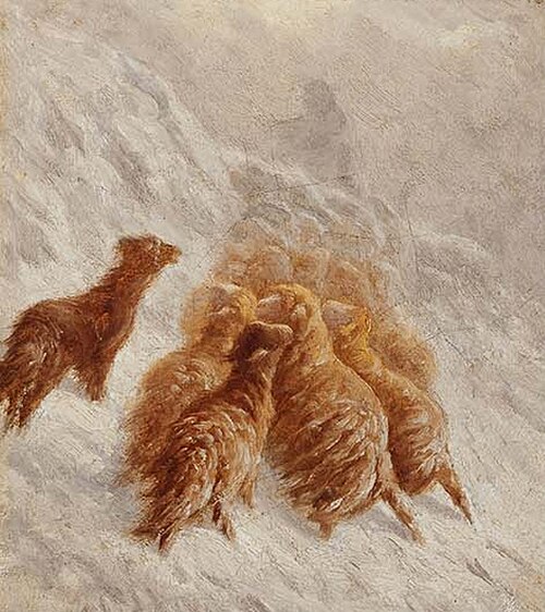 Sheep in the snow, , August Friedrich Schenk