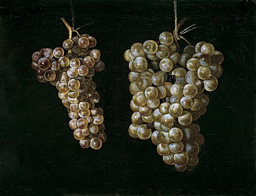 Two Bunches of Grapes, 1630, Miguel de Pret