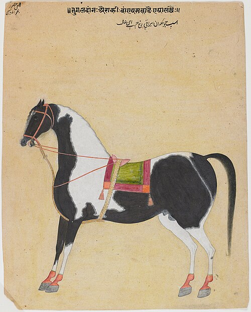 The Iraqi Steed Jugaldan, 1720, Bhavanidas