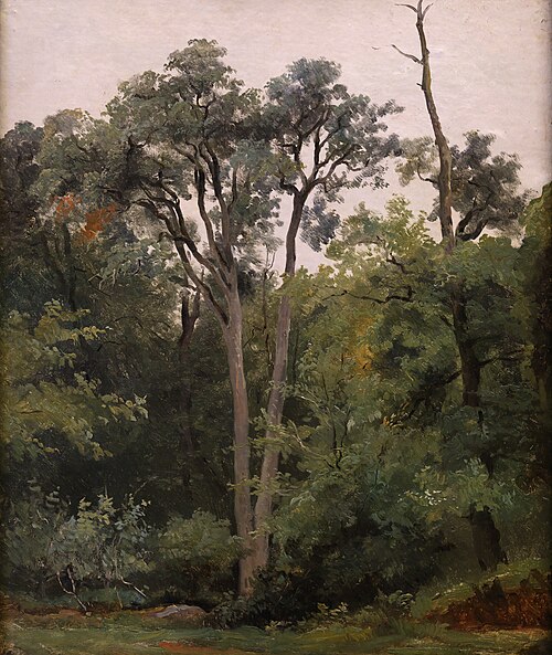 Au Bas-Bréau, à Chailly, 1825, Robert Léopold Leprince