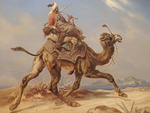 Un coursier arabe à dos de dromadaire, 1855, Niels Simonsen