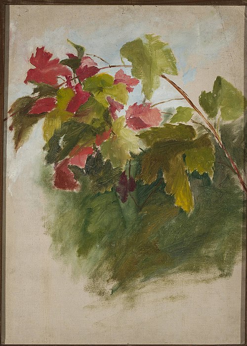 Vine leaves, , Ian Tsionglinski