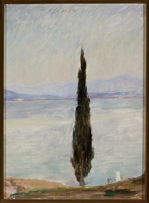 Cypress. From the journey to Constantinople, 1893, Ian Tsionglinski