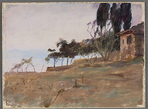 Study. From the journey to Constantinople, 1893, Ian Tsionglinski