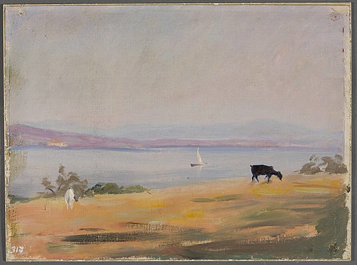 Seaside. From the journey to Constantinople, 1893, Ian Tsionglinski