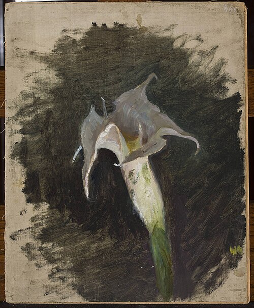 Flower, , Ian Tsionglinski