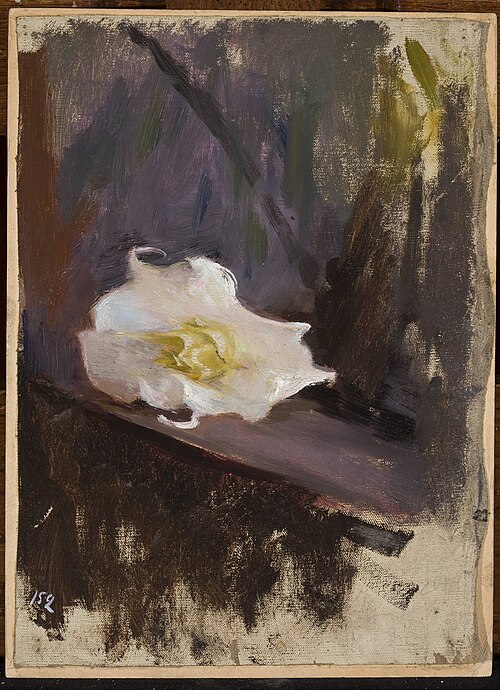 White flower, study, , Ian Tsionglinski