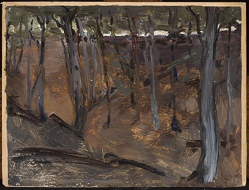 Forest – Finland, 1903, Ian Tsionglinski