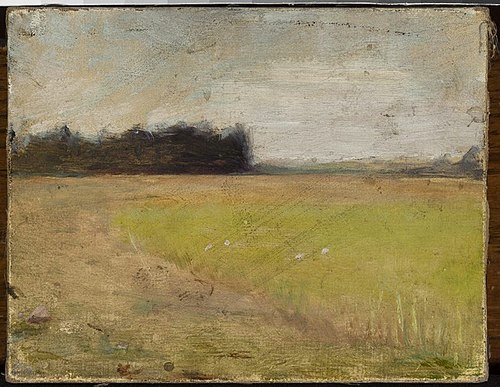 Landscape in Finland /?/, 1905, Ian Tsionglinski