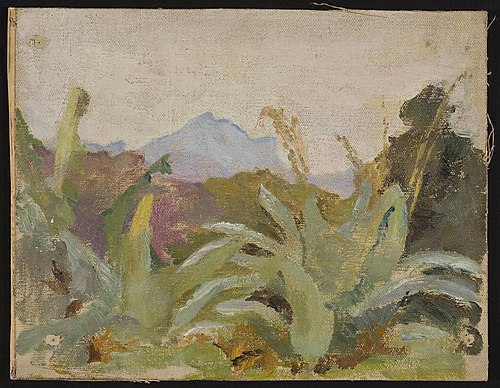 Ceylon, Adam’s Peak landscape. From the journey to India, 1907, Ian Tsionglinski