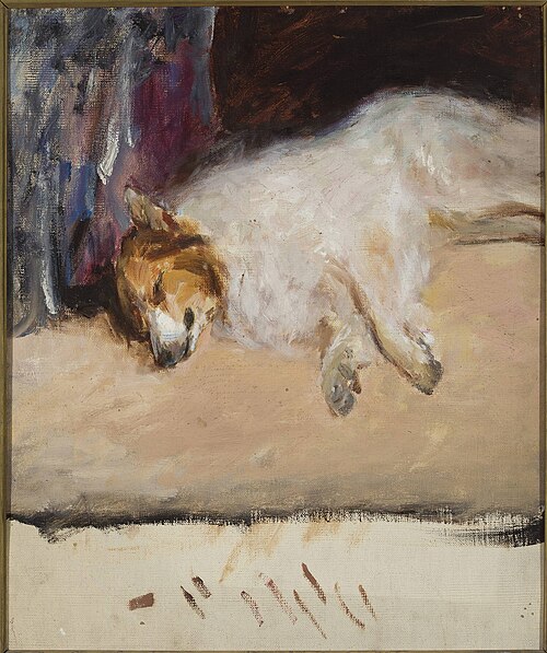Study of a sleeping dog for the “Portrait of Prince Golitsyn”, 1910, Ian Tsionglinski