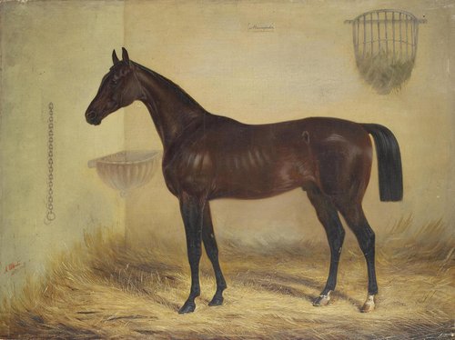 Magnifique Bay Horse, 1853, Alexander Schwabe