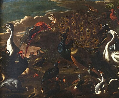 Birds and Beasts, 1650, Jaques van de Kerckhove