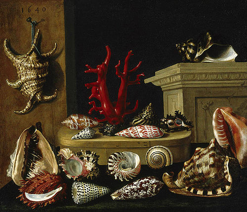 Nature morte aux coquillages et au corail, 1640, Jacques Linard