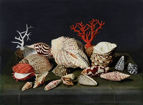 Still life with shells and coral, 1630, Jacques Linard