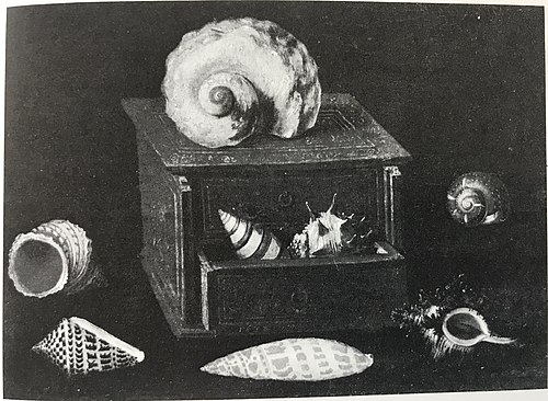 Collection of Shells with their Box, 1638, Jacques Linard