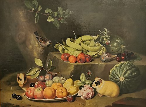 Stillleben mit Meerschweinchen, 1767, Jakob Samuel Beck