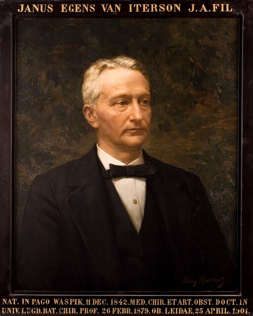Portret van Jan Egens van Iterson, hoogleraar Heelkunde te Leiden, 1801, Willy Martens