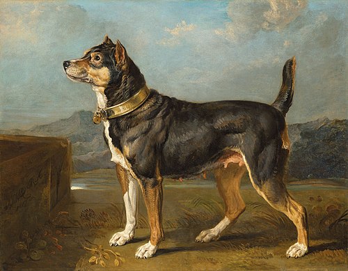 A terrier in a landscape, , James Ward