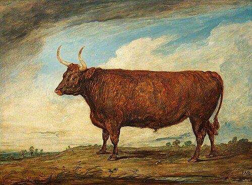 The Devonshire Ox, 1801, James Ward