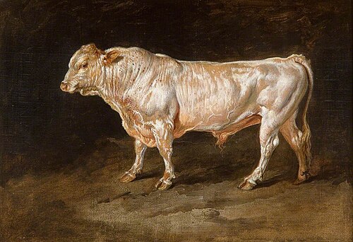 Study of a Prize Bull, 1813, James Ward