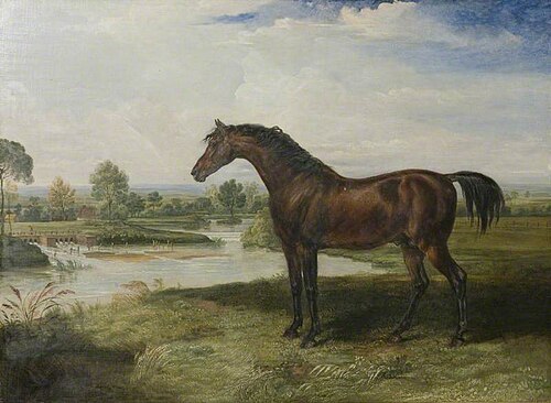 'Haphazard', 1820, James Ward