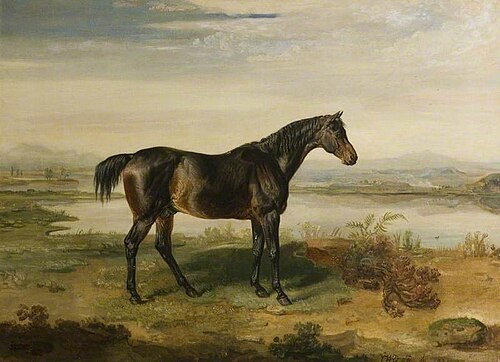 'Dr Syntax', 1821, James Ward