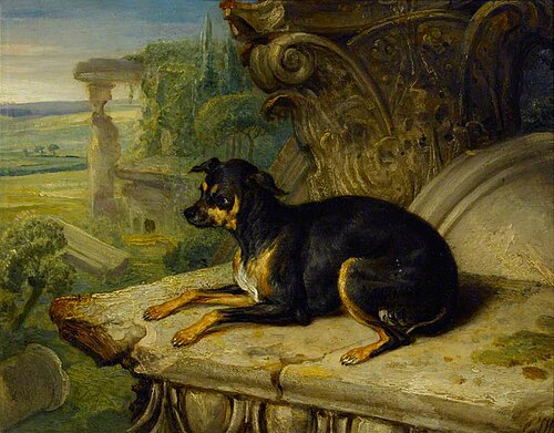 'Fanny', a Favourite Dog, 1822, James Ward