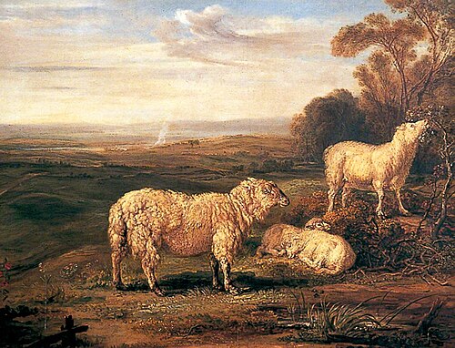 Sheep on the Downs, 1832, James Ward