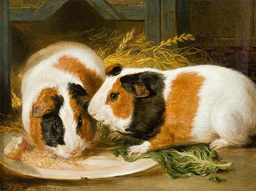 Double Portrait of Henrietta Ward's Pet Guinea Pig, 1843, James Ward