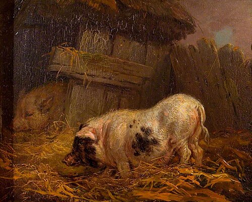 A Chinese Sow, , James Ward