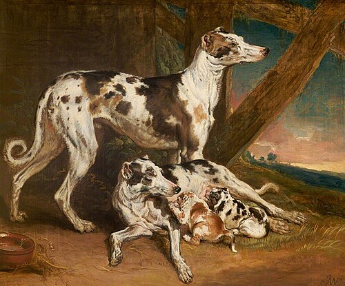 Dalmatian Dogs, , James Ward
