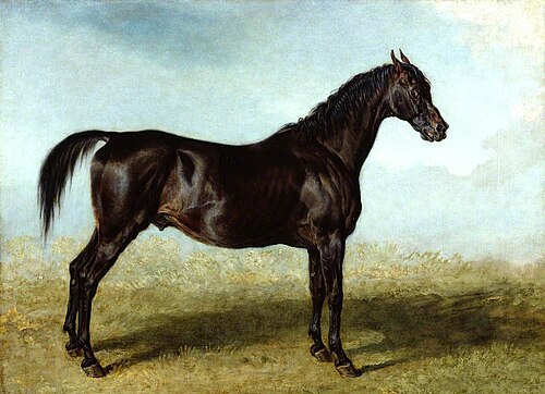 'Guy Mannering': A Racehorse, 1822, James Ward