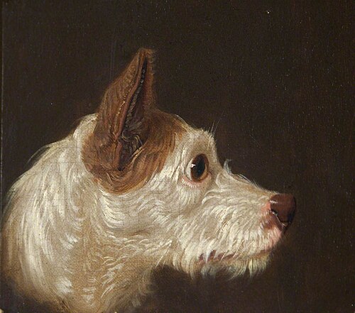 Dog's Head, , James Ward